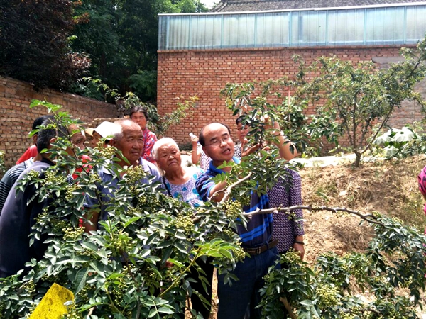 1e9086dd15bd4e94a1b645988b5171f9.jpg 莘村现场技术指导_副本.jpg